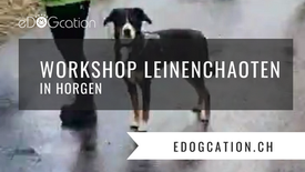 Workshop Leinenchaoten im März 2023