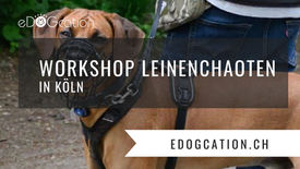 Workshop Leinenchaoten Köln 2023