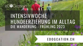 Intensivwoche Hundeerziehung im Alltag - Die Wanderung